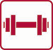 trainingsbegleitung